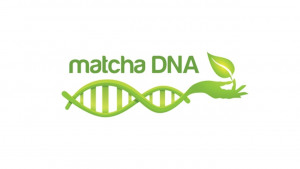 MATCHA DNA